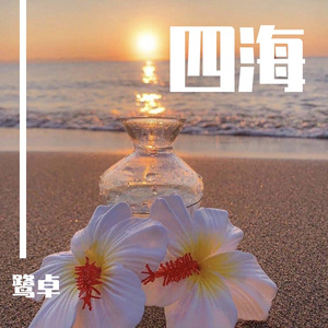 欧美女屄BB欧美
