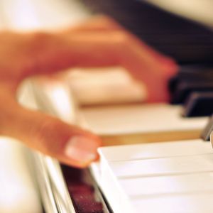 欧美女屄BB欧美
