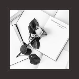 欧美女屄BB欧美
